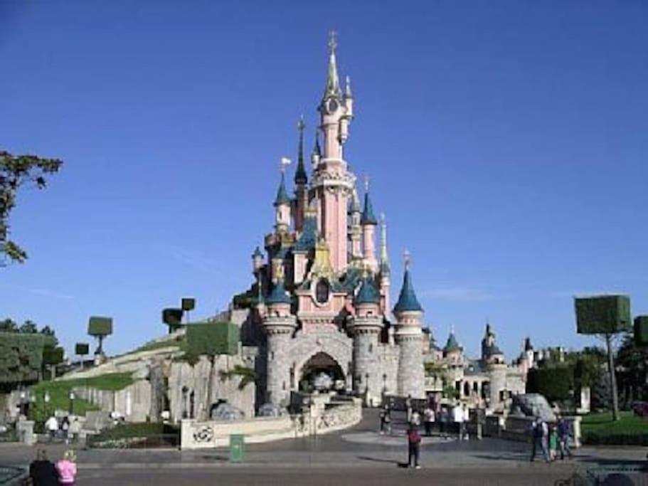 Disneyland Dream 5 - Charmante Maison 10 Pax Chessy  Ngoại thất bức ảnh